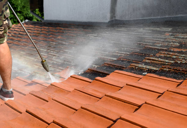 Best Commercial Building Pressure Washing  in La Crosse, WI